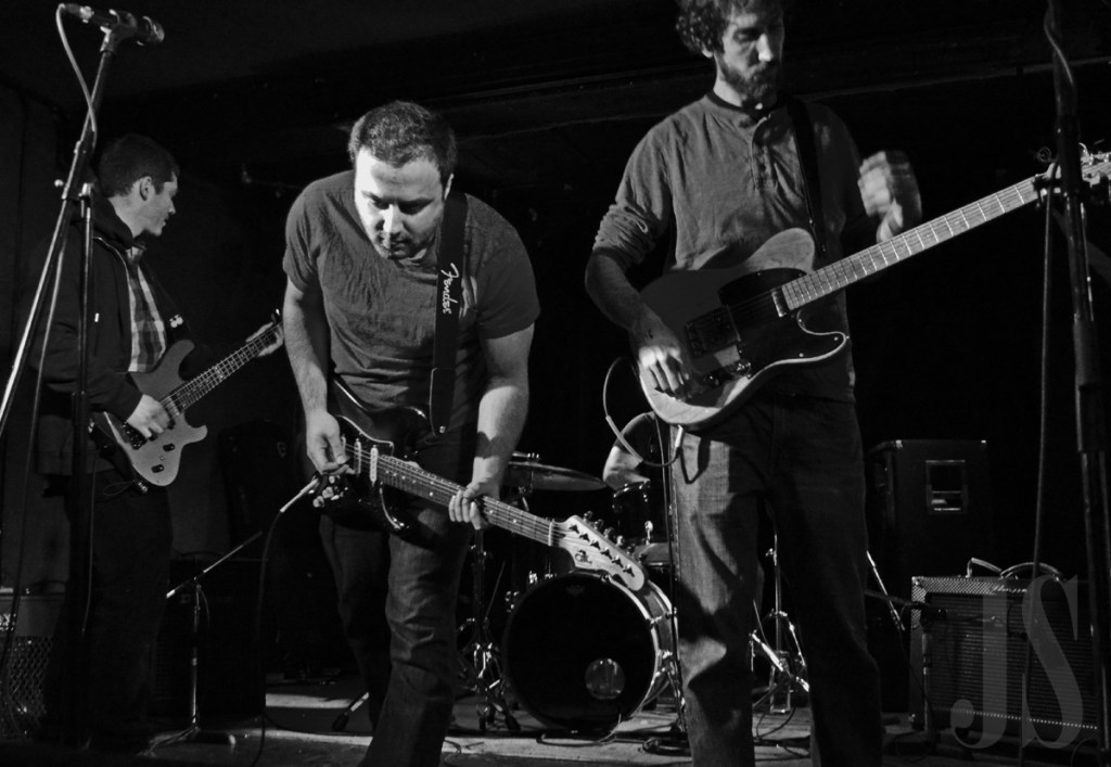 Local Spotlight: Sedge