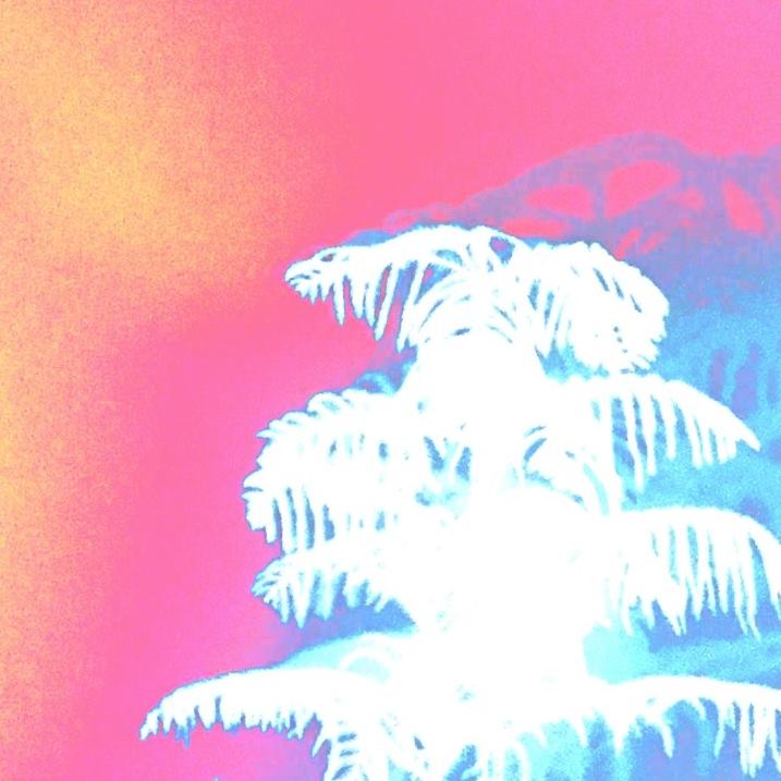 21686412_852959724861641_6293960434379776296_n